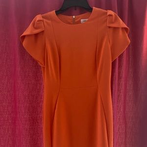 BNWOT Calvin Klein Crepe scuba dress, Sz 6
